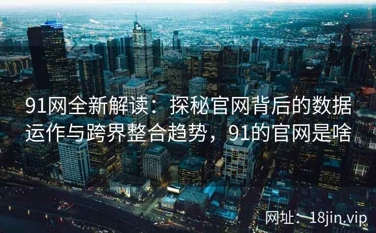91网全新解读：探秘官网背后的数据运作与跨界整合趋势，91的官网是啥