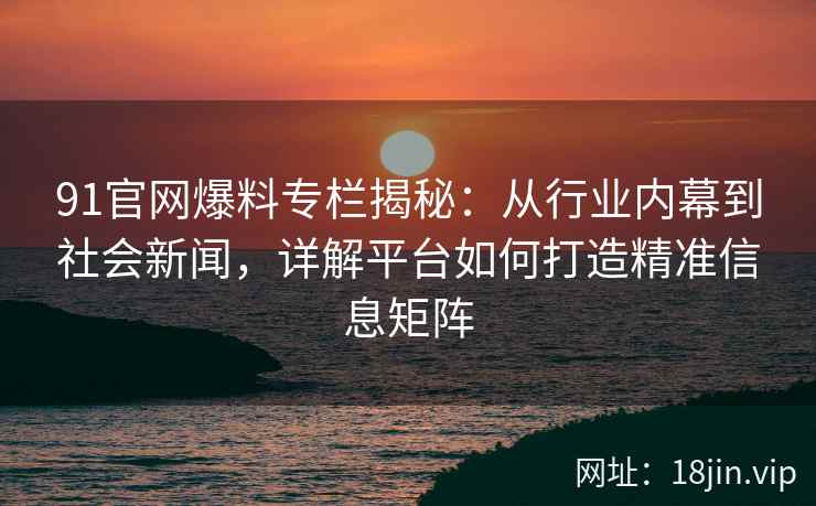 91官网爆料专栏揭秘：从行业内幕到社会新闻，详解平台如何打造精准信息矩阵