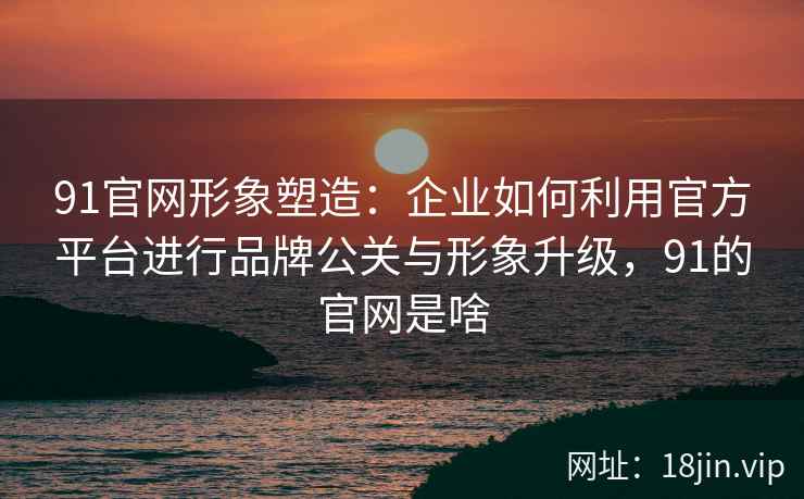 91官网形象塑造：企业如何利用官方平台进行品牌公关与形象升级，91的官网是啥