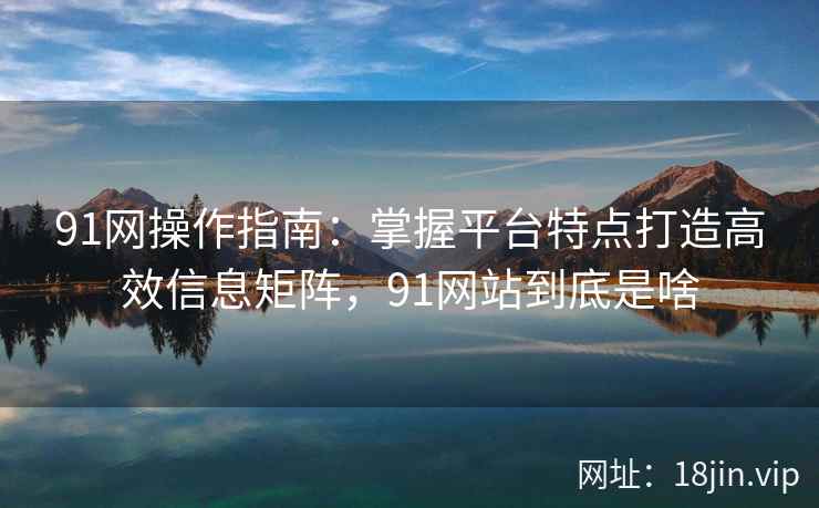91网操作指南：掌握平台特点打造高效信息矩阵，91网站到底是啥