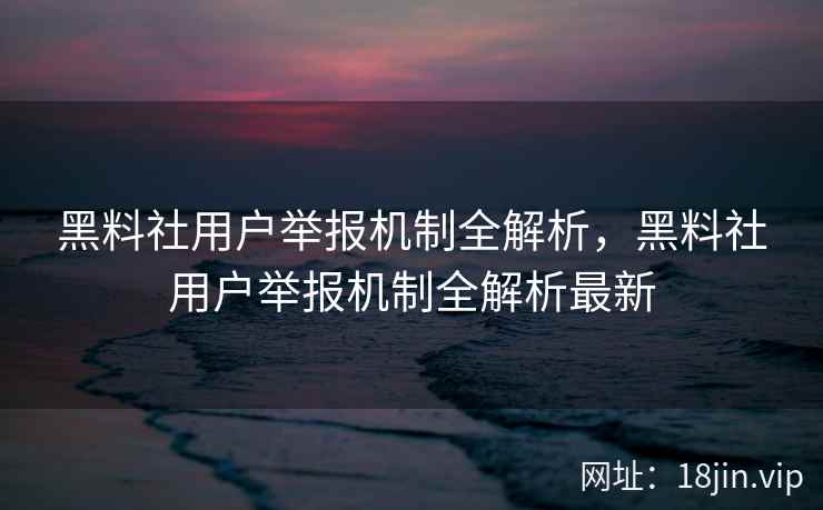 黑料社用户举报机制全解析，黑料社用户举报机制全解析最新