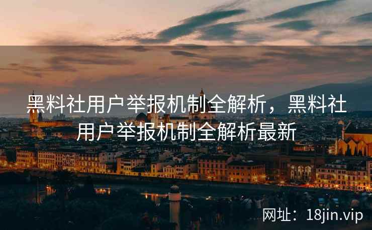 黑料社用户举报机制全解析，黑料社用户举报机制全解析最新