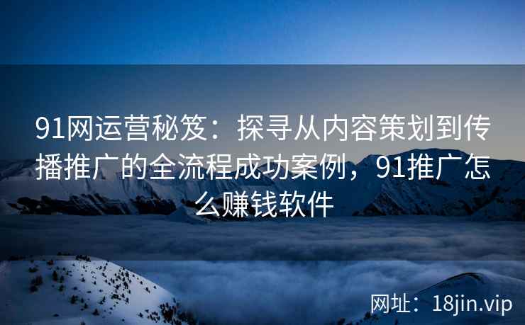 91网运营秘笈：探寻从内容策划到传播推广的全流程成功案例，91推广怎么赚钱软件