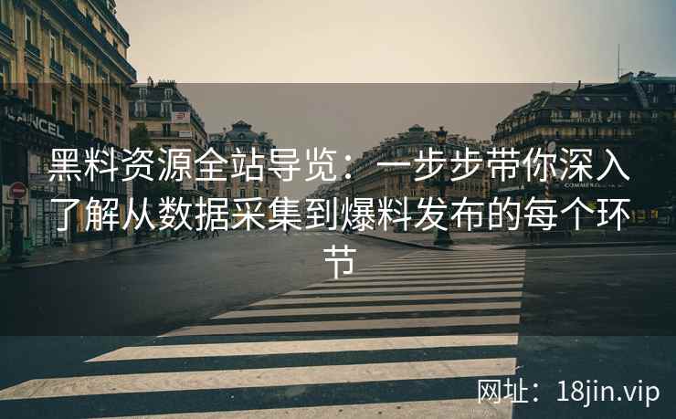 黑料资源全站导览：一步步带你深入了解从数据采集到爆料发布的每个环节