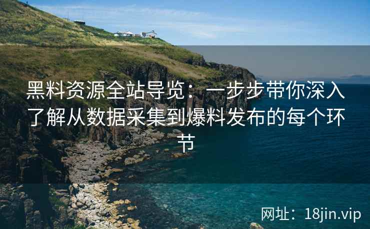 黑料资源全站导览：一步步带你深入了解从数据采集到爆料发布的每个环节