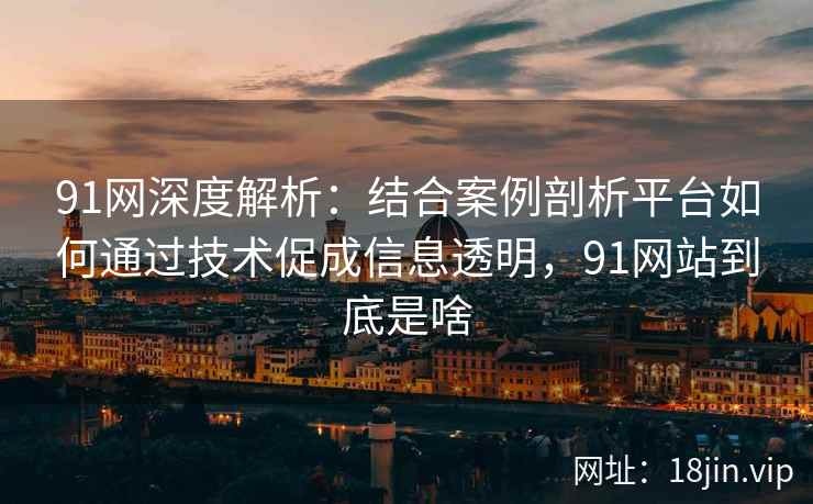 91网深度解析：结合案例剖析平台如何通过技术促成信息透明，91网站到底是啥